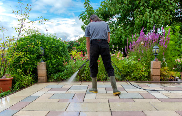 Best Fence Cleaning  in Hobbs, NM