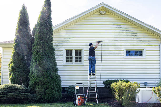 Best Gutter Cleaning  in Hobbs, NM