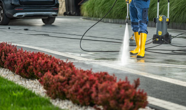 Best Sidewalk and Walkway Cleaning  in Hobbs, NM